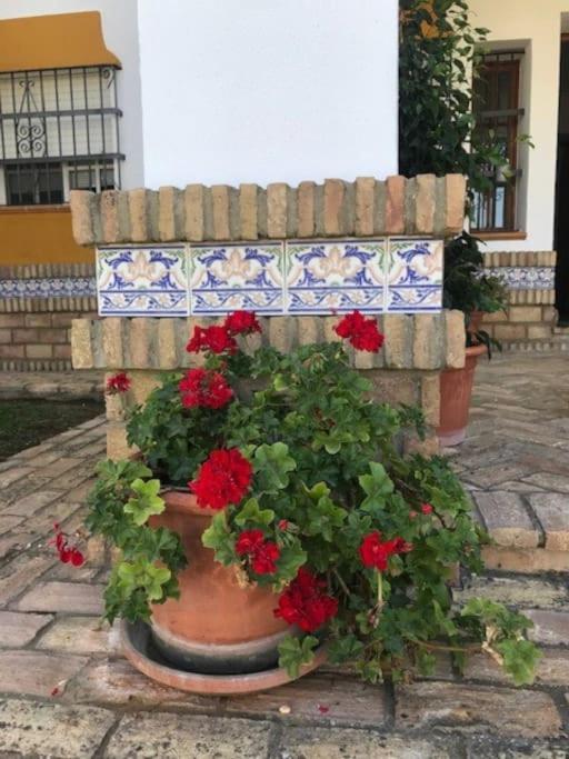 فيلا El Magnolio شيكلانا دي لا فرونتيرا المظهر الخارجي الصورة